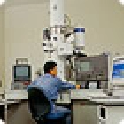 形態観察の写真