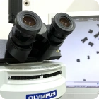 安全性試験の写真