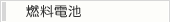 燃料電池